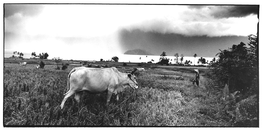 Dans les rizières, clichés noir et blanc argentique, Jean-Pierre Devals