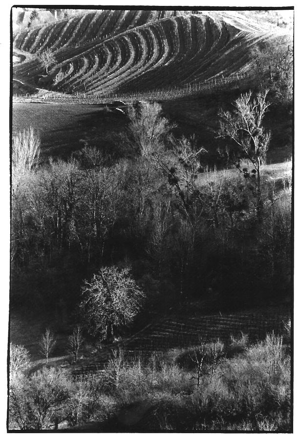 Au creux du vallon, Aveyron, photographies argentiques, Devals